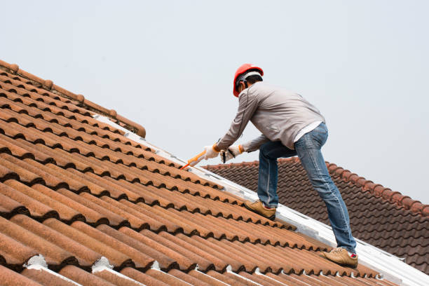 Professional Roofing services in Lake Village, AR